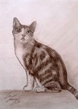 Ana-Martin-Gato