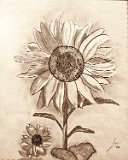 Ana-Palomeque-Flor