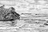 Francisco-Toro-Marina