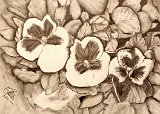 Irene-Delclos-Flores