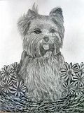 Irene-Delclos-Perro