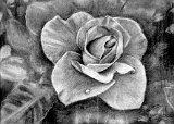 Lorena-Garcia-La-Rosa