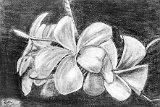 Paola-Martin-Aroma-Floral