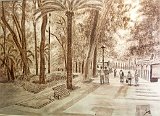 Sonia-Rodriguez-Parque