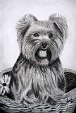 Sonia-Rodriguez-Tinta-2