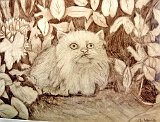 Victor-Millan-Gato