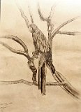 Victor-Millan-Loro