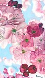 Ana-Sanchez-Quiles-Fantasia-Floral-1