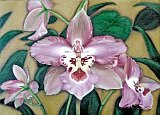 Carolina-Cardona-Orquideas