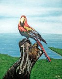 Dori-Torres-Loro