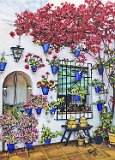 Francisco-Segarra-Patio