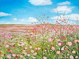 Genoveva-Primavera-2