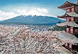 Genoveva-Volcan-Fujiyama