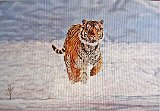 Mª-Carmen-Pedrajas-Tigre