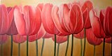Mª-Carmen-Pedrajas-Tulipanes