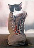 Manoli-Mora-Gato