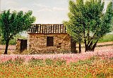 Maria-Castillo-Paisaje