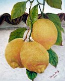Marisa-Limones