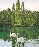 Miriam-Gutierrez-Cisnes