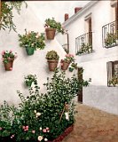 Montserrat-Mateos-Adalucia