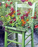 Rafael-Mª-Fernandez-Silla y Flores