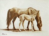 Caballos