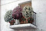 Balcon-Rustico