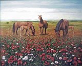 Caballos-y-Amapolas
