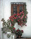 Rincon-Andaluz