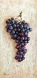 Uvas-Negras-1