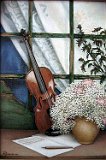 Violin